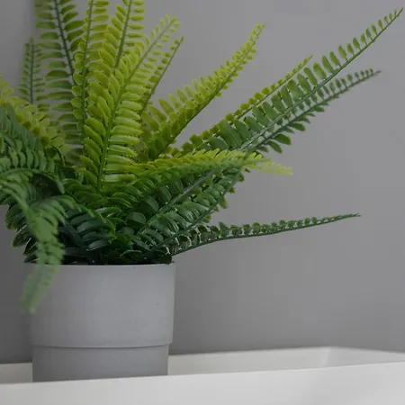 Apartment Bazantow With Balcony By Renters *