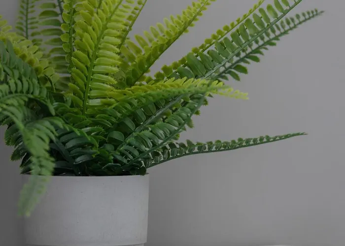 Apartment Bazantow With Balcony By Renters *